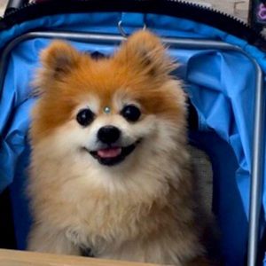 My love, Cody, priceless